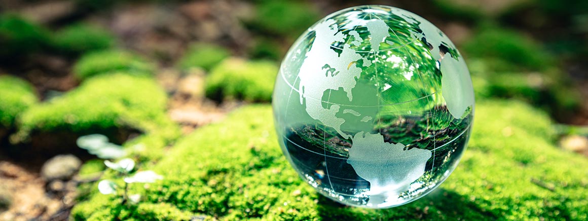 Natuurwetenschappen cursussen Natuurwetenschappen cursussen